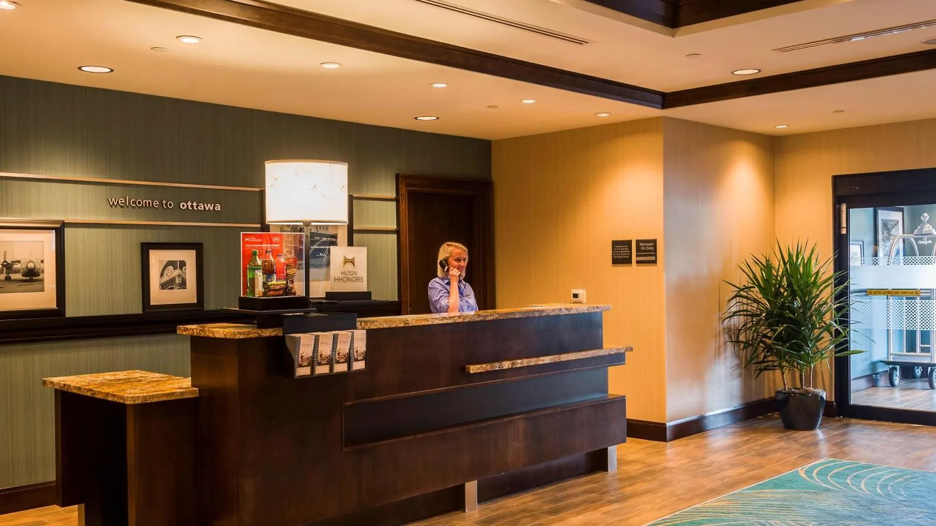 Hotel Hampton Inn By Hilton Ottawa Airport